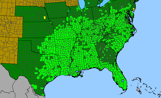 The range of Conoclinium coelestinum